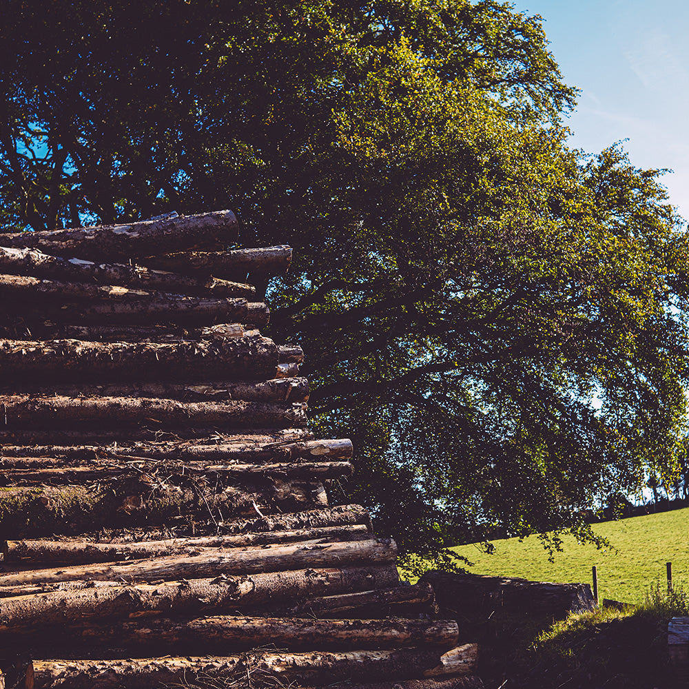 Firewood Delivery to Northern Ireland
