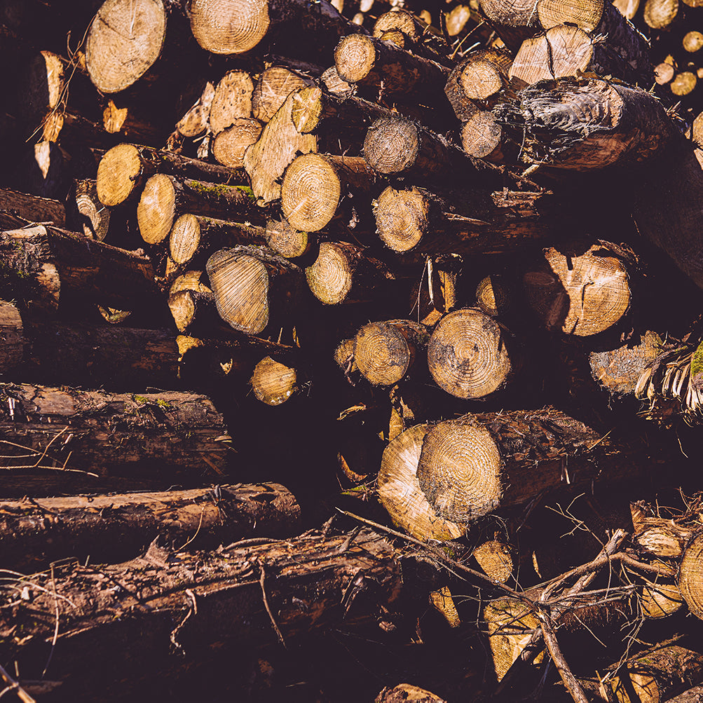 Firewood Wholesale from Surefire Wood