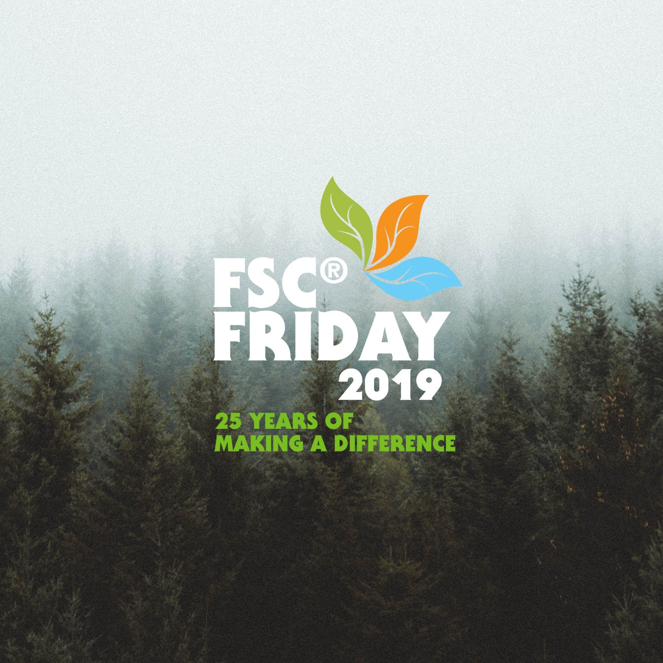 FSC Friday 2019