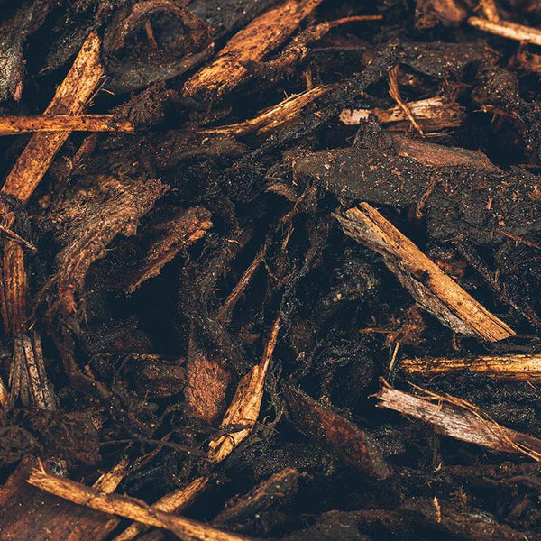 Bark Wholesale Delivery