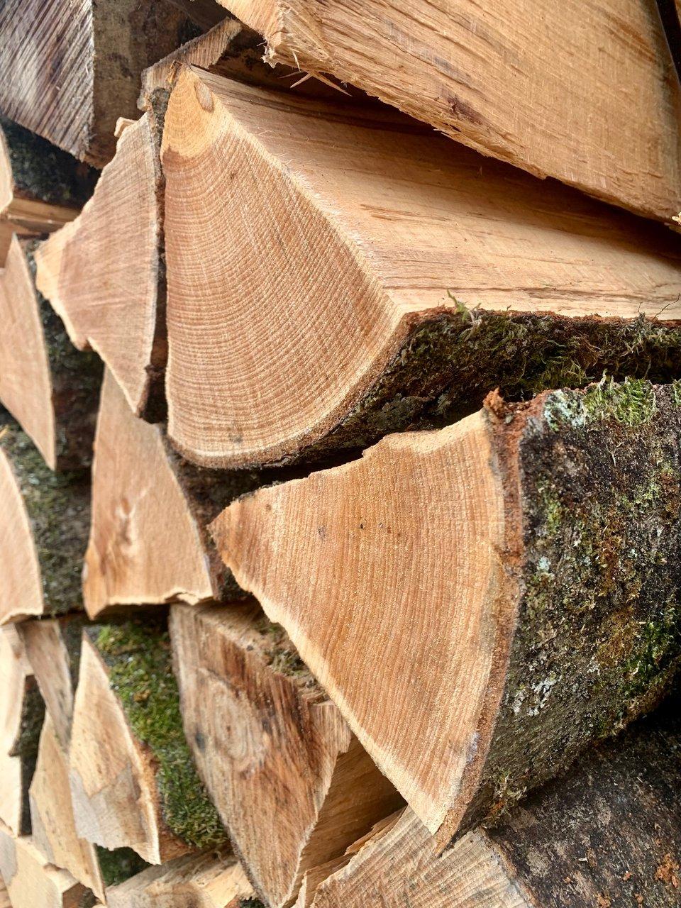 Is It Illegal to Sell Wet Logs in the UK? | Firewood Rules Explained