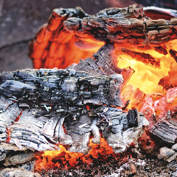 Using Wood Ash in the Garden