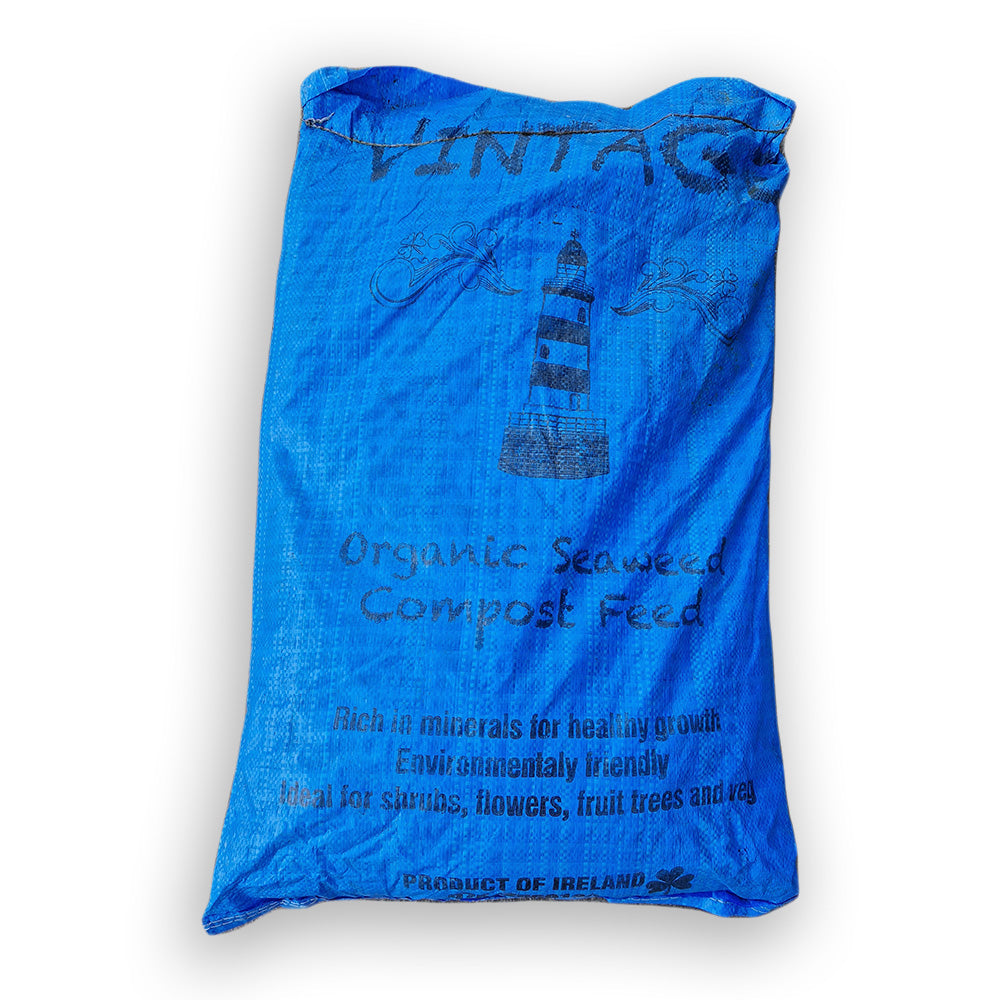 Peat Free Compost
